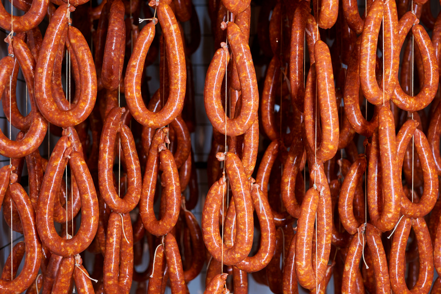 Salami Sessions Workshop
