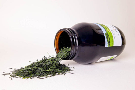 Tea & Salmon Tasting Event in October