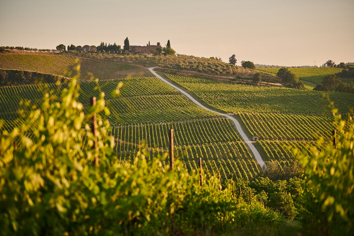 A journey through Italy: a wine & food pairing evening on Friday 6th November